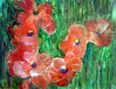 Aquarelle : Coquelicots (45x60)