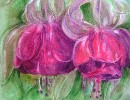 Aquarelle : Fuchsia (60x60)