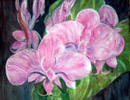 Aquarelle : Orchidées (45x60)