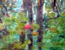 Aquarelle : Lotus (50x70)