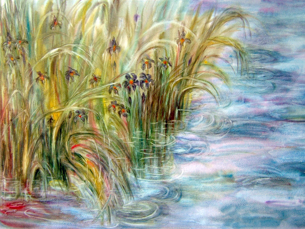 Aquarelle : Les Iris d'eau (40x50)