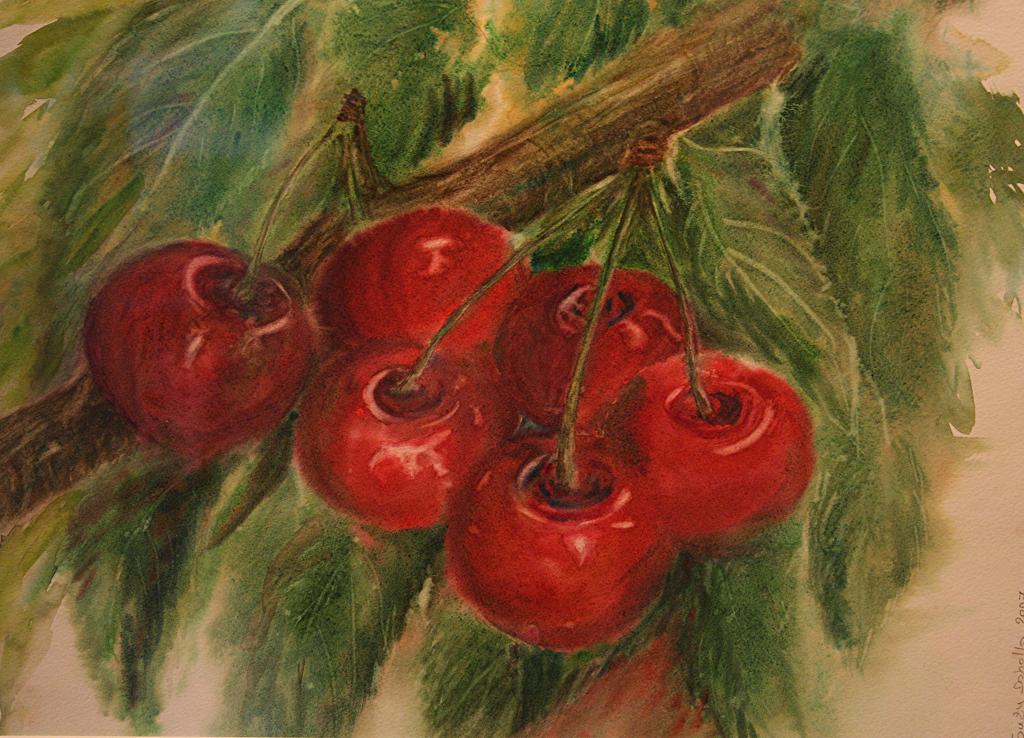 Aquarelle : Patche de Cerises (50x60)