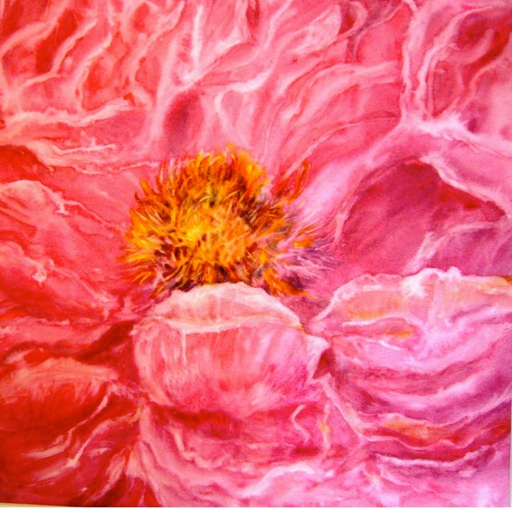 Aquarelle : Pivoine (60x60)