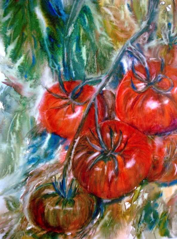 Aquarelle : Tomates (40x50)